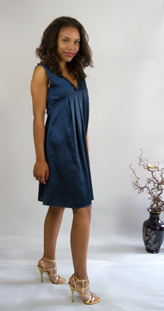 Navy V-Neck Dress